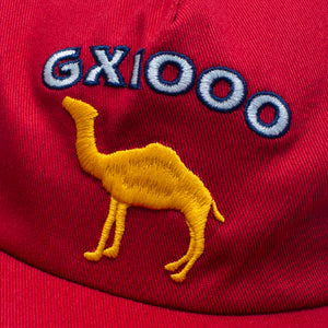 GX1000 - Dromedary Hat burgundy